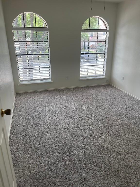 spare room with a wealth of natural light and carpet floors