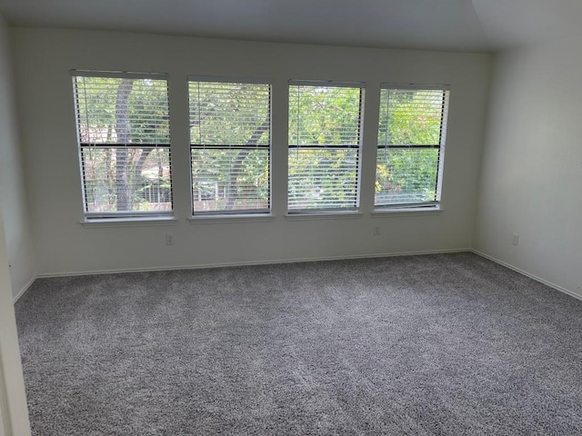 carpeted spare room featuring a wealth of natural light