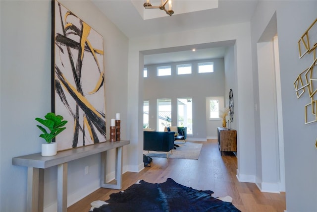 foyer entrance with light hardwood / wood-style flooring, a towering ceiling, and a notable chandelier