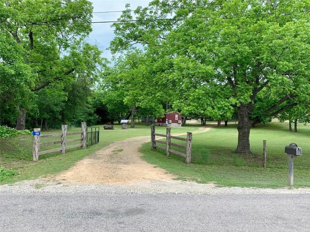 view of community with a yard