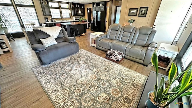 living room featuring wood-type flooring