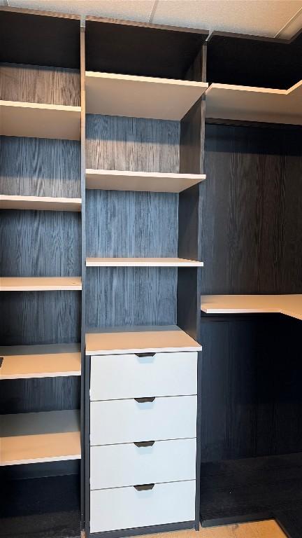 44 E Ave Unit 2808, Austin, TX 78701 - view of walk in closet