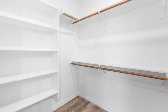 walk in closet with wood-type flooring