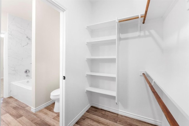 spacious closet featuring light hardwood / wood-style floors