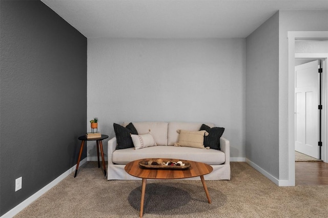 sitting room featuring carpet flooring