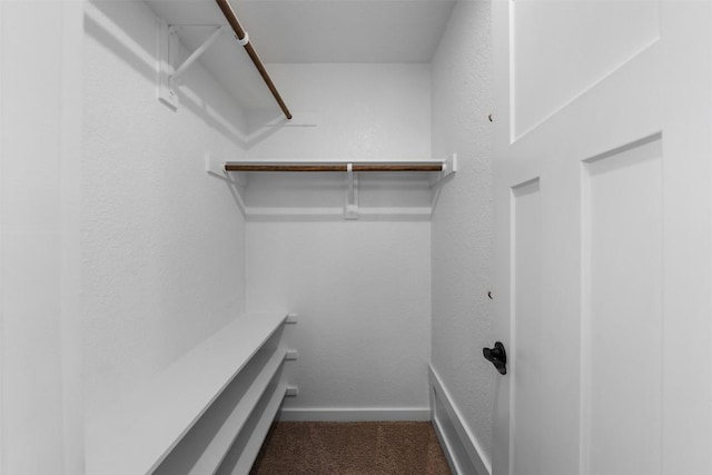 spacious closet featuring carpet floors