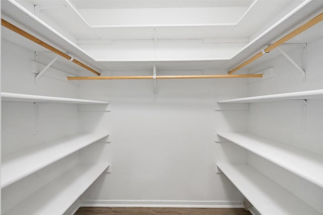 spacious closet featuring dark hardwood / wood-style flooring