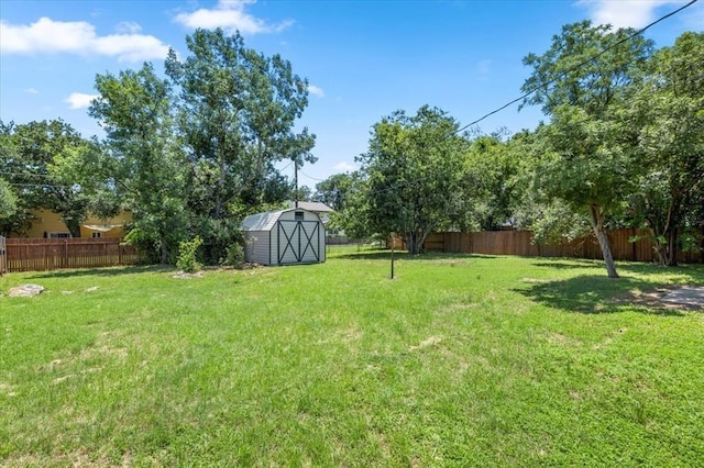 view of yard with a storage shed