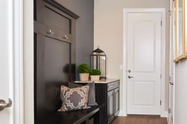 entryway with dark hardwood / wood-style floors