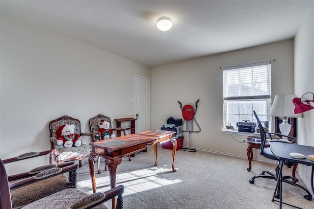 office area featuring light colored carpet