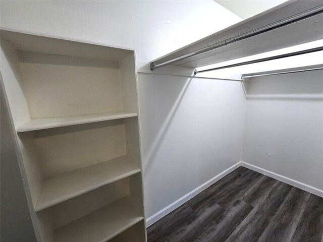 walk in closet with dark wood-type flooring