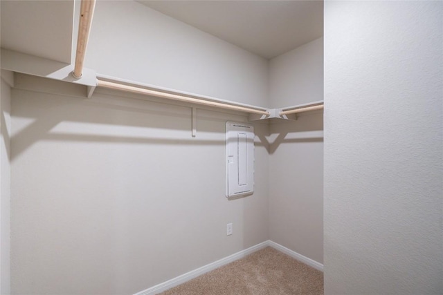 spacious closet featuring carpet floors and electric panel