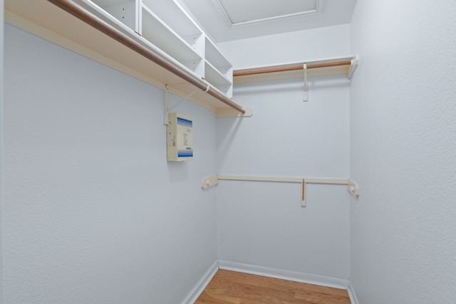 spacious closet with hardwood / wood-style floors