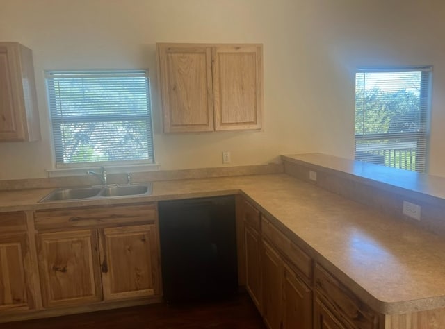 kitchen with black dishwasher, kitchen peninsula, and sink