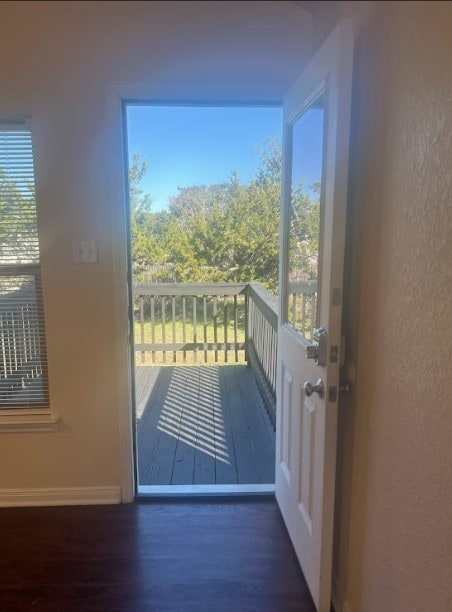 doorway to outside featuring dark hardwood / wood-style flooring and a healthy amount of sunlight