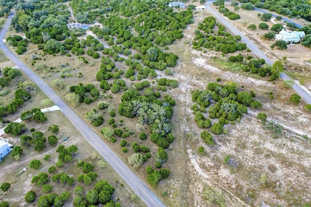 Listing photo 3 for LOT84 Chaneys Xing, Bertram TX 78605