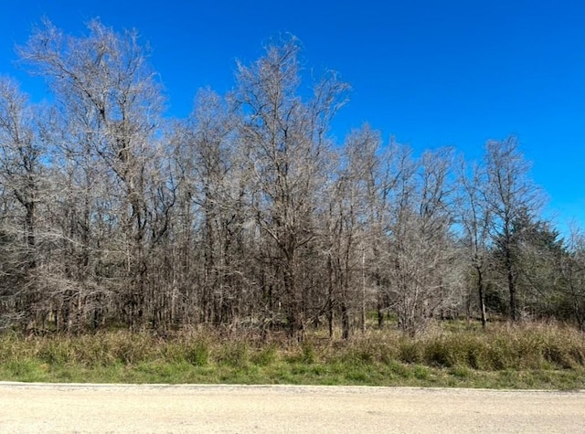 304 Riverside Dr, Bastrop TX, 78602 land for sale