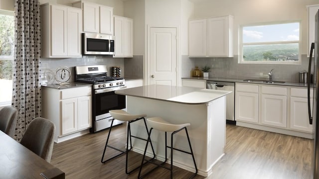 kitchen with white cabinetry and stainless steel appliances