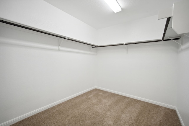 walk in closet featuring carpet floors