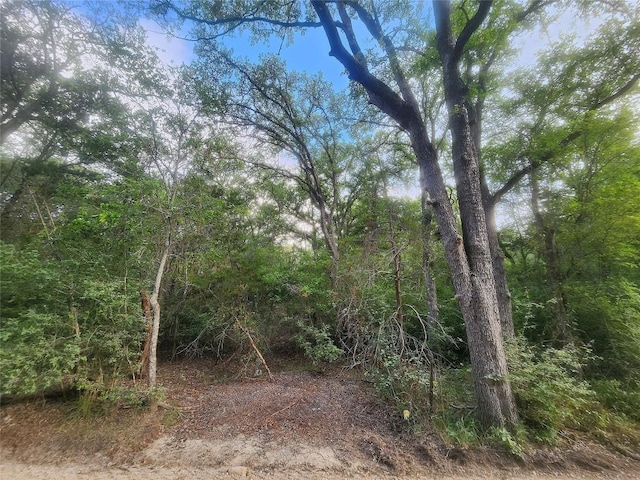 Listing photo 2 for TBD Post Oak Rim Dr, Bastrop TX 78602