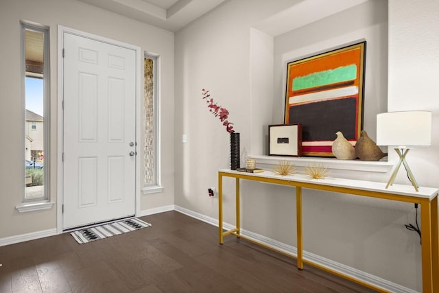 foyer entrance with a healthy amount of sunlight and dark hardwood / wood-style floors