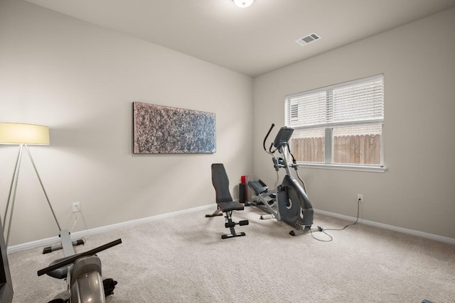 exercise area featuring carpet flooring