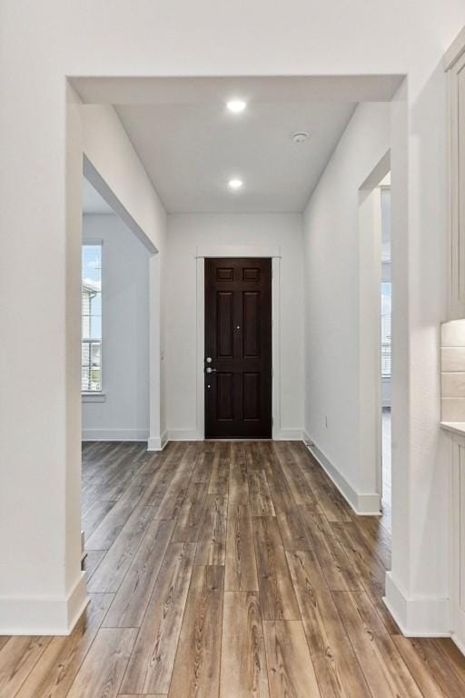 entryway with wood-type flooring