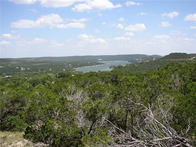 Listing photo 2 for 10608 Turkey Bnd Dr, Jonestown TX 78645