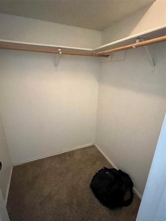 spacious closet featuring carpet