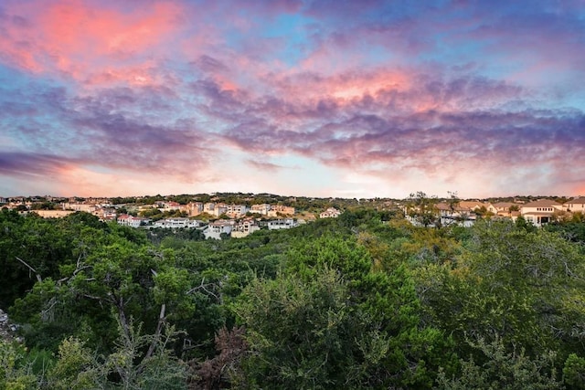 view of nature at dusk