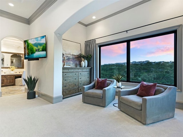 living area with light carpet and crown molding