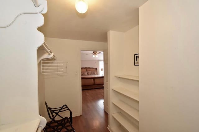 walk in closet featuring ceiling fan and dark wood-type flooring