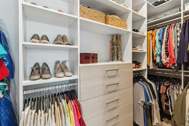 view of walk in closet