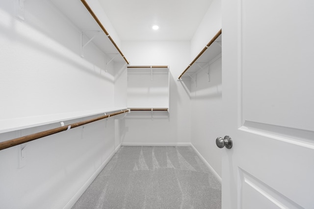 spacious closet featuring carpet floors