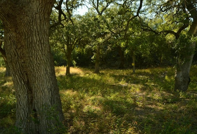 LOT407 Palomino Spgs, Bandera, TX 78003 - photo 4