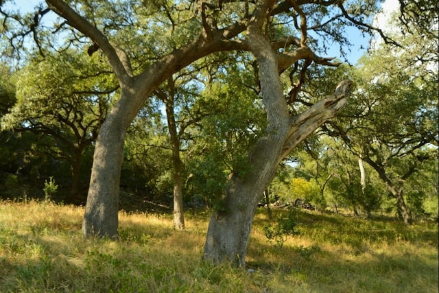 LOT407 Palomino Spgs, Bandera, TX 78003 - photo 5