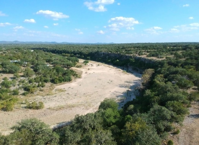 LOT407 Palomino Spgs, Bandera, TX 78003 - photo 8