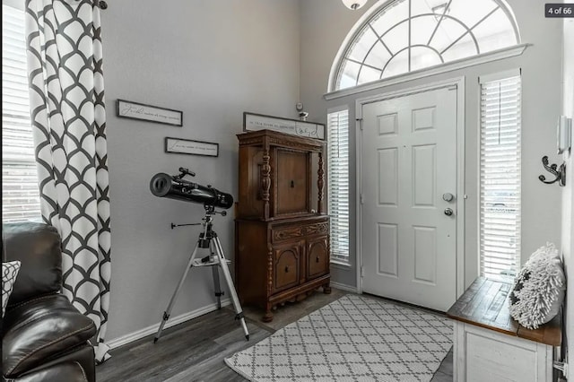 entryway featuring dark wood-type flooring and a healthy amount of sunlight