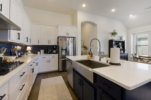 524 Calmo Ct, Liberty Hill, TX 78642 - kitchen with stainless steel appliances, ventilation hood, a sink, dark wood-style floors, and light countertops