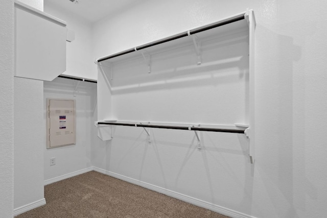 409 Raleigh Dr, Georgetown, TX 78633 - spacious closet with carpet flooring