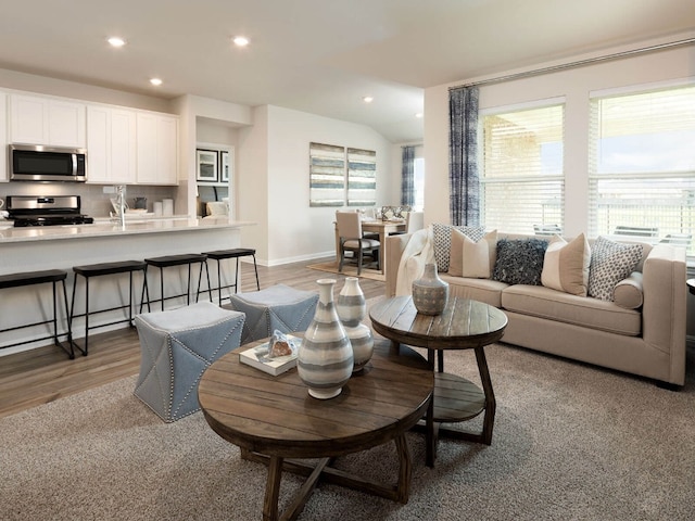 living room with dark hardwood / wood-style flooring