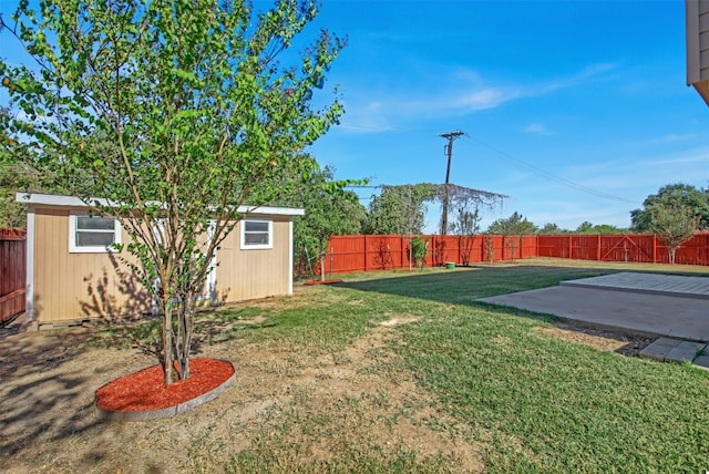 view of yard with a patio area and a storage shed