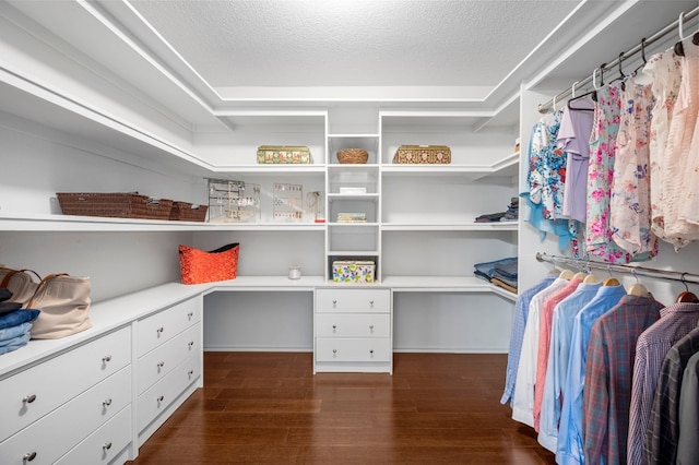 walk in closet featuring built in desk and dark wood-type flooring