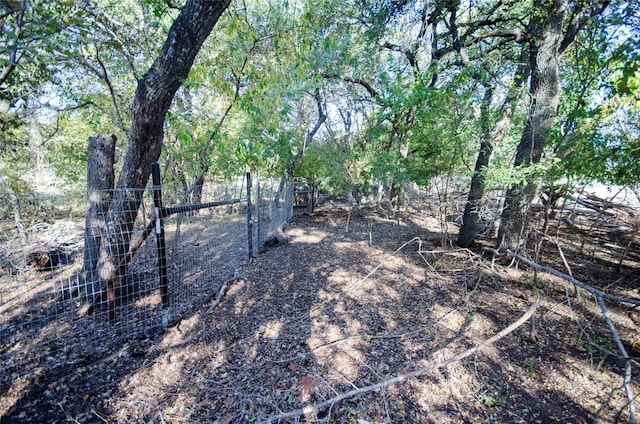 view of local wilderness