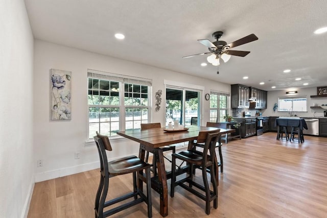 dining room featuring ceiling fan, sink, and light hardwood / wood-style flooring