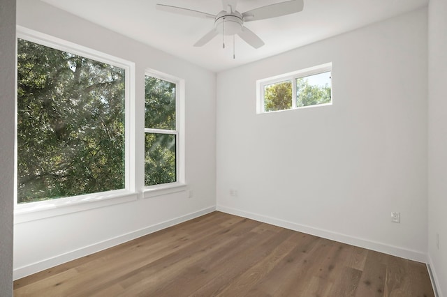 spare room with ceiling fan and wood-type flooring