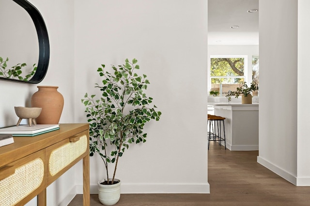 hall featuring hardwood / wood-style floors