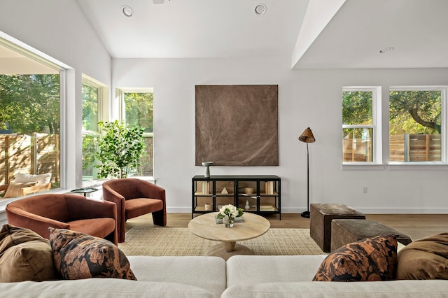 living room featuring lofted ceiling, hardwood / wood-style flooring, and a healthy amount of sunlight