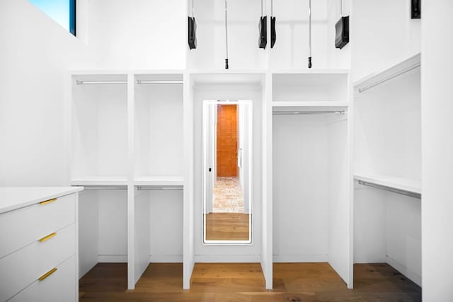 spacious closet featuring light hardwood / wood-style flooring