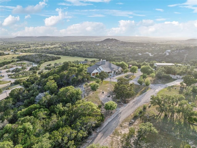 169 Royal Oaks Hl, Fredericksburg, TX 78624 - photo 39